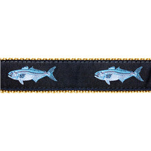 Dog Collar - Bluefish - 1 1/4