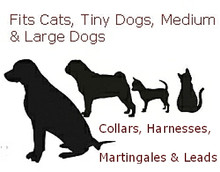 Cat or Dog Collar - Umbrellas - 1/2, 3/4 &1 1/4