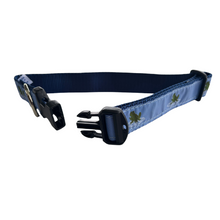 Dog Collar - Frogs - 3/4 & 1 1/4