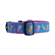 Dog Collar - Summer Sandals - 3/4 & 1 1/4