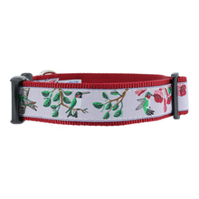 Dog Collar - Hummingbirds - 1 1/4