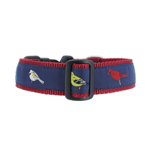 Dog Collar - Songbirds - 1 1/4