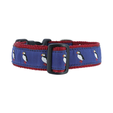 Dog Collar - Puffin Seabirds - 1 1/4