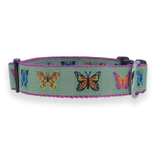 Dog Collar - Butterflies on Green - 3/4 & 1 1/4