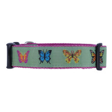 Dog Collar - Butterflies on Green - 3/4 & 1 1/4