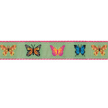Dog Collar - Butterflies on Green - 3/4 & 1 1/4