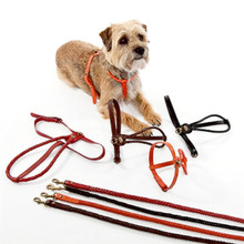 Braided Leather Dog Harness