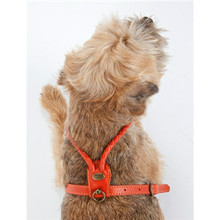 Braided Leather Dog Harness