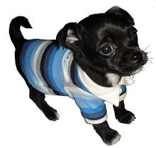 Blue Striped Polo Dog Shirt by Hip Doggie