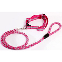 Braided Lumi Dog Leash & Step In Dog Harness Set - Fuchsia