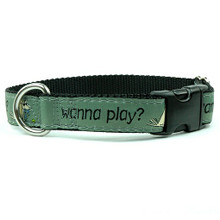 Wanna Play? Dog Collars and Leash