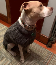 Grey Cable Knit Dog Sweaters