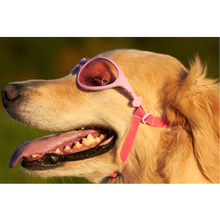 K9 Optix Rubber Dog Sunglasses - Pink