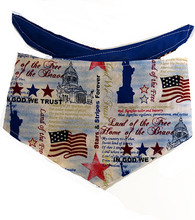 Dog Bandana - Home Of the Brave