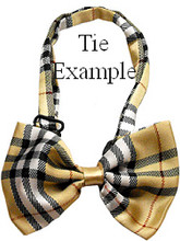 Classic Stripe Navy & Burgundy Dog Bow Tie
