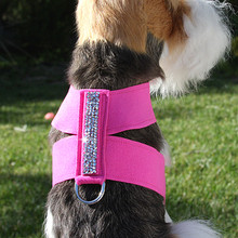 Crystal Rocks Dog Tinki Harness by Susan Lanci - 19 Colors