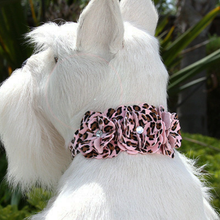Pink Cheetah Tinkies Garden Dog Collars