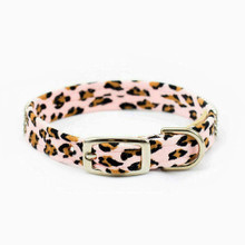 Cheetah Giltmore 3 Row Dog Collars