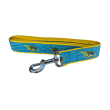 Sea Turtles Dog Collars - 3/4 & 1 1/4
