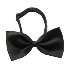 Black Dog Bow Tie - Small & Medium