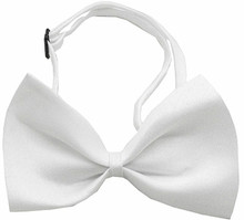 White Dog Bow Tie - Small & Medium