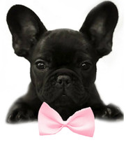 Light Pink Dog Bow Tie - Small & Medium