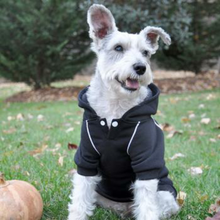 Sport Dog Hoodie -Jet Black - Tiny - Big Dog Sizes