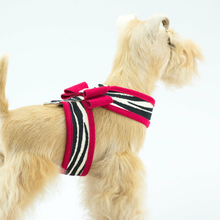 Custom - Contrasting Big Bow & Trim-Jungle Prints Base Tinkie Dog Harness
