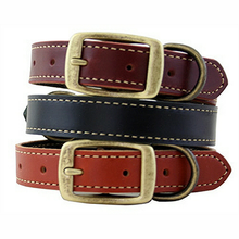 Lake Country Stitched Leather Dog Collar
