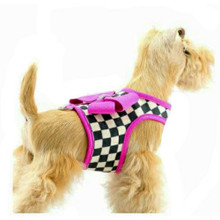 Windsor Check Contrasting Trim Bailey II Dog Harness - Montego Blue