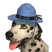 Drill Sergeant Dog Hat