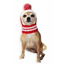 HD Crown Knit Dog Ski Hat