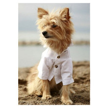 White Cotton Club Dog Shirt