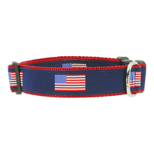 American Flag 3/4 & 1.25 inch Dog Collar, Harness