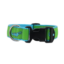 Green Alligator 1/2, 3/4 & 1.25 inch Dog/Cat Collar, Harness