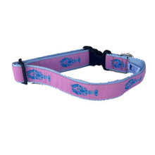 Lobster Pink 1/2, 3/4 & 1.25 inch Dog & Cat Collar, Harness
