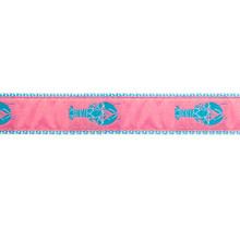 Lobster Pink 1/2, 3/4 & 1.25 inch Dog & Cat Collar, Harness