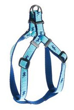 Step in harness