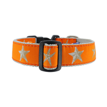 Orange Starfish 3/4 & 1.25 inch Dog Collar, Harness, & Leash
