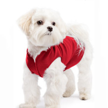 Gold Paw Stretch Fleece - Red