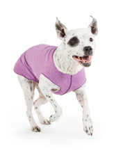 Sun Shield Pet Dog Tee - Violet Heather