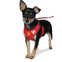 EasyGO Original Basic Dog Harness - OGN