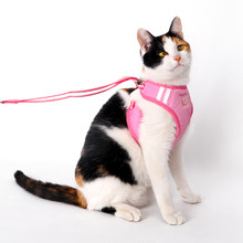 EasyGO Original Basic Dog Harness - OGN