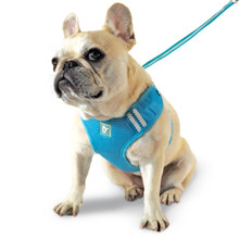 EasyGO Original Basic Dog Harness - PBY