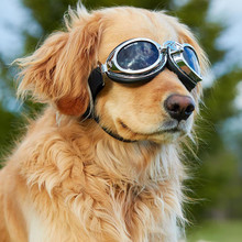 Sidecar Doggles Dog Sunglasses - Silver
