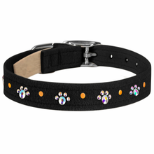 Wide 5/8" Crystal Paws Dog Collar - Susan Lanci