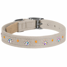 Wide 5/8" Crystal Paws Dog Collar - Susan Lanci