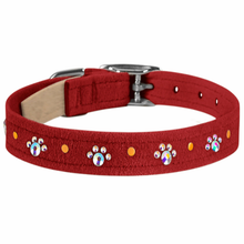 Wide 5/8" Crystal Paws Dog Collar - Susan Lanci