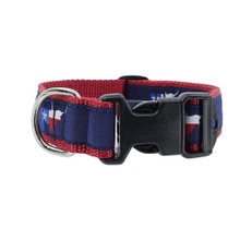Texas Longhorn 3/4 & 1.25 inch Dog Collar, Harness