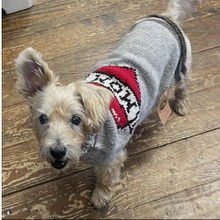 Tattooed Mom Hand Knit Dog Sweaters